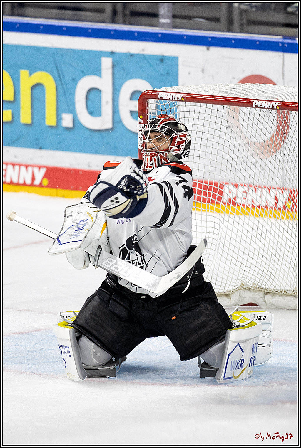 PENNY DEL;  Koelner Haie - Krefeld Pinguine; Koeln, 31.10.2021